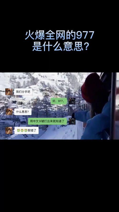 977在线视频观看,畅享海量精彩内容，轻松开启视听盛宴