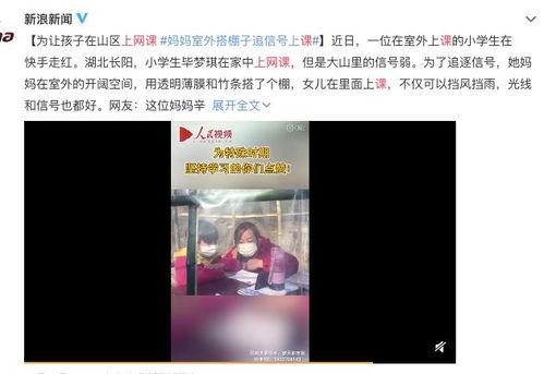 snn100在线水莓在线视频,在线视频中的美味之旅