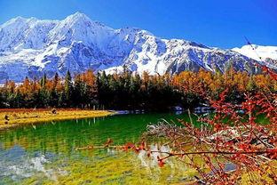 波萝波密在线视频,揭秘神秘在线视频背后的故事